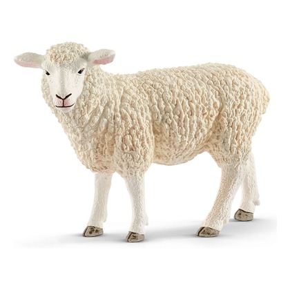 Овца 13882